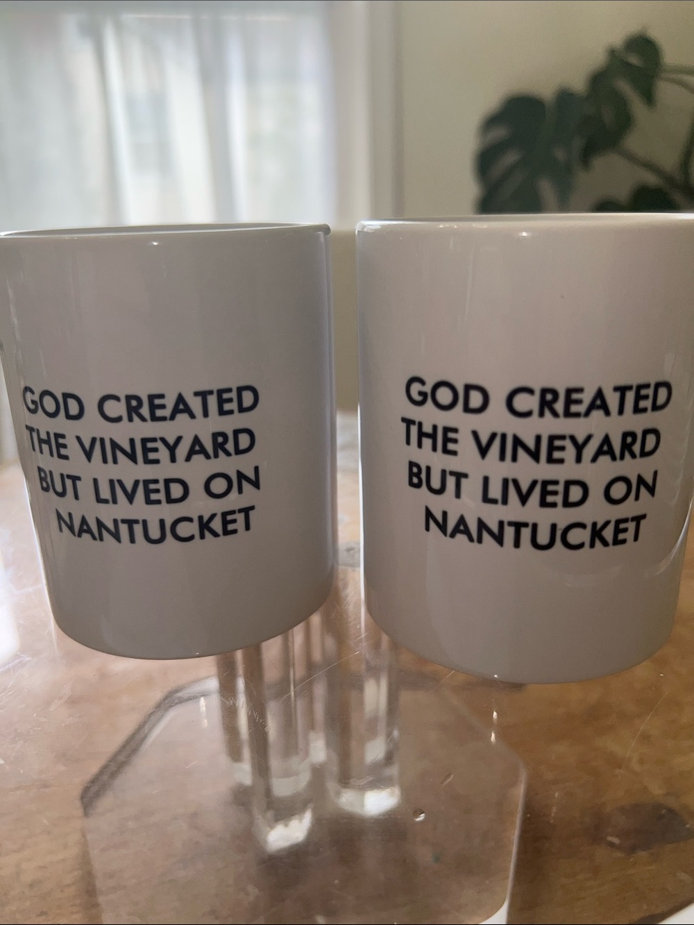 Set of 2 - 10oz  Novelty Mugs :God Created The Vineyard But Lived On Nantucket